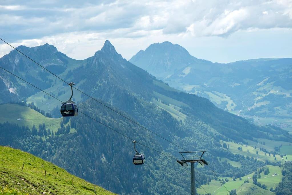 Confortable Chalet Avec Magnifique Vue En Gruyere. Charmey Eksteriør billede