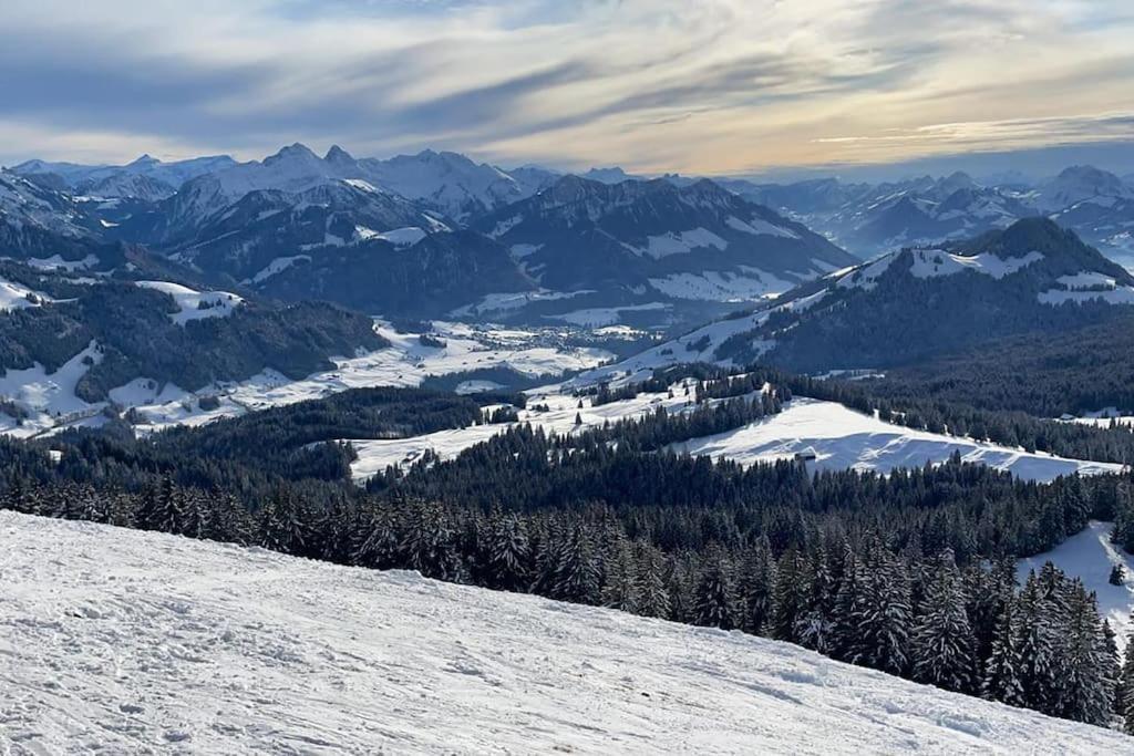 Confortable Chalet Avec Magnifique Vue En Gruyere. Charmey Eksteriør billede